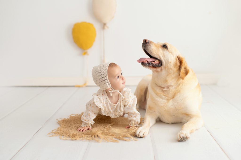 sesion-baby-plan-mascota