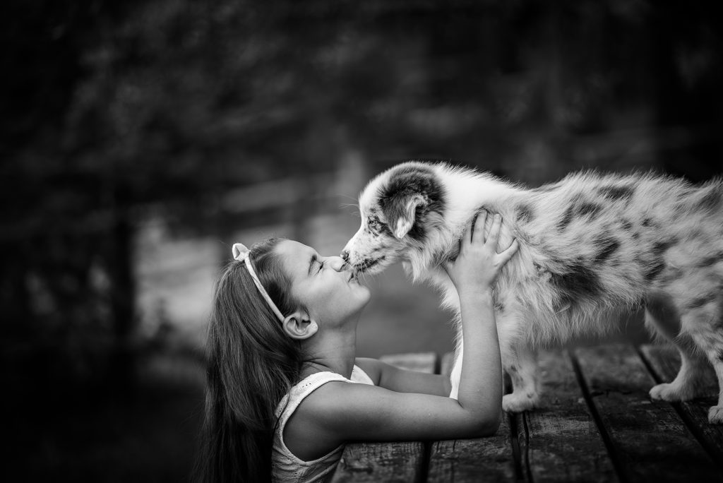 sesión-fotografía-mascota